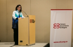 Coctel de lanzamiento del IX Premio Luis Caballero