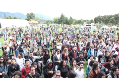Festival Crea 2017