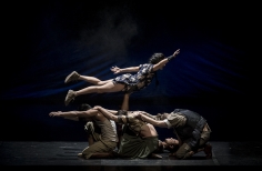 XIII Festival de Teatro de Bogotá