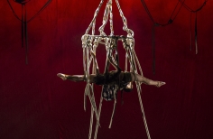 XIII Festival de Teatro de Bogotá