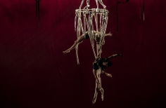 XIII Festival de Teatro de Bogotá