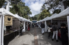 Lectura Bajo los Arboles 2017