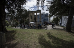 Lectura Bajo los Arboles 2017