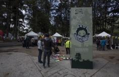 Lectura Bajo los Arboles 2017