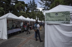 Lectura Bajo los Arboles 2017