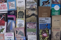 Lectura Bajo los Arboles 2017