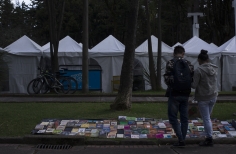 Lectura Bajo los Arboles 2017