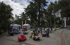 Lectura Bajo los Arboles 2017
