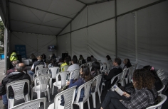 Lectura Bajo los Arboles 2017