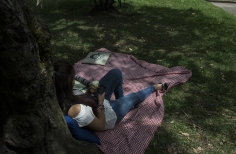 Lectura Bajo los Arboles 2017