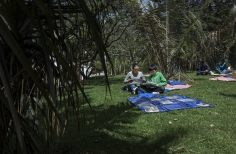 Lectura Bajo los Arboles 2017