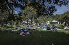 Lectura Bajo los Arboles 2017
