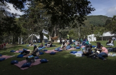 Lectura Bajo los Arboles 2017