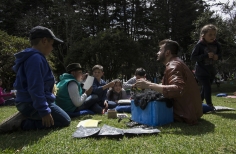 Lectura Bajo los Arboles 2017