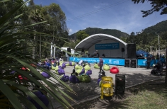 Lectura Bajo los Arboles 2017