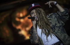 Rototom - Tortazo Reggae.