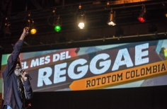 Rototom - Tortazo Reggae.