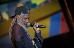 Rototom - Tortazo Reggae.