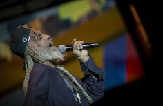 Rototom - Tortazo Reggae.