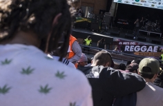 Rototom - Tortazo Reggae.