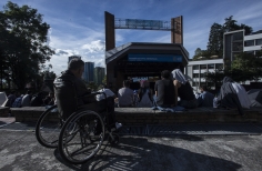 Rototom - Tortazo Reggae.