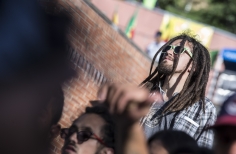 Rototom - Tortazo Reggae.