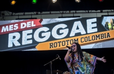 Rototom - Tortazo Reggae.