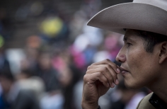 Tortazo Virgen del Carmen.
