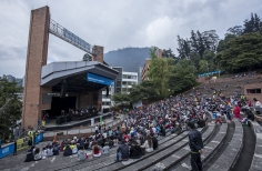 Tortazo Virgen del Carmen.