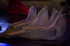 Muestra artística Crea