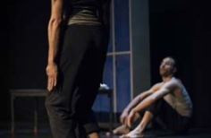 Poyo rojo de Argentina en el teatro Arlequín de Casa E