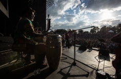 Salsa al Parque 20 años 