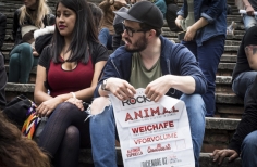 Concierto Rockaxis en La Media Torta