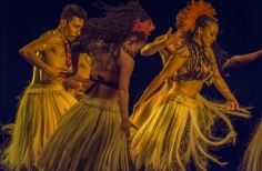 Noches de folclor colombiano en el Jorge Eliécer 