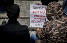 Concierto Rockaxis en La Media Torta