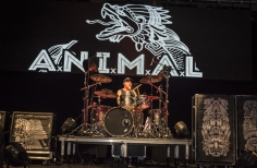 Concierto Rockaxis en La Media Torta