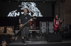 Concierto Rockaxis en La Media Torta