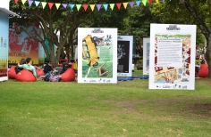 Personas sentadas  en el parque