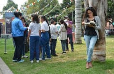 Mujer  joven leyendo un libro