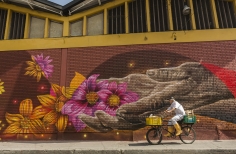 Adulto mayor montando bicicleta 