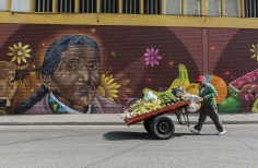 Adulto mayor llevando una carreta 