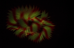 © Juan Santacruz / Idartes.