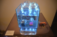 Recipiente  con agua 
