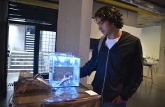 Hombre  observando la  muestra