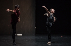 Hamlet, Imperfect Dancers Company.