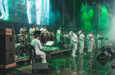 Festival Salsa al Parque.