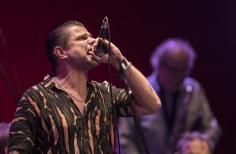 Velandia & flat Earth Society.