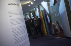 Inauguración Ciclo Rosa