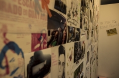 Inauguración Ciclo Rosa