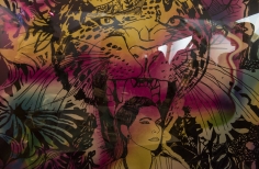 Inauguración Ciclo Rosa